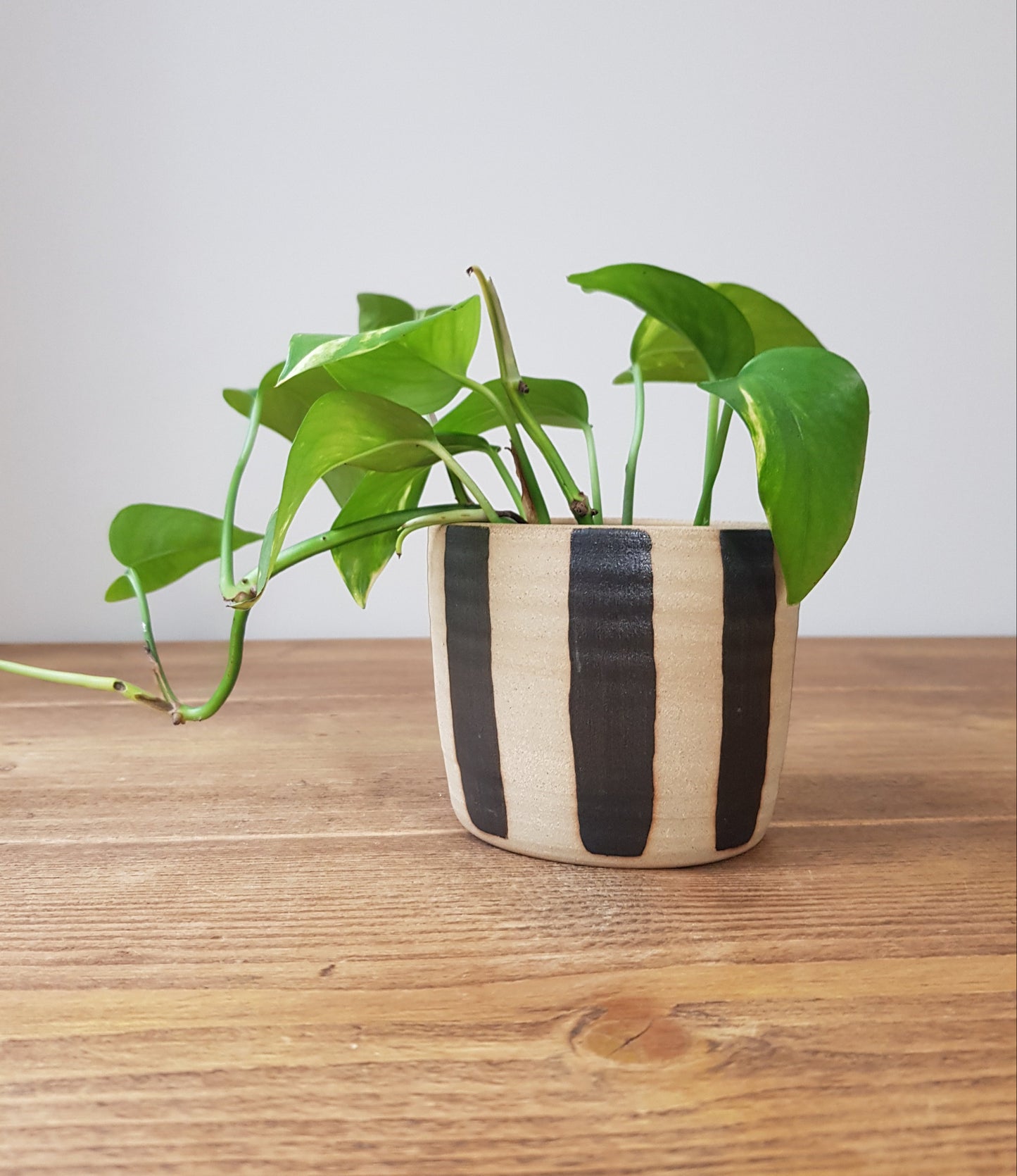 LIQUORICE Black stripe stoneware plant pot