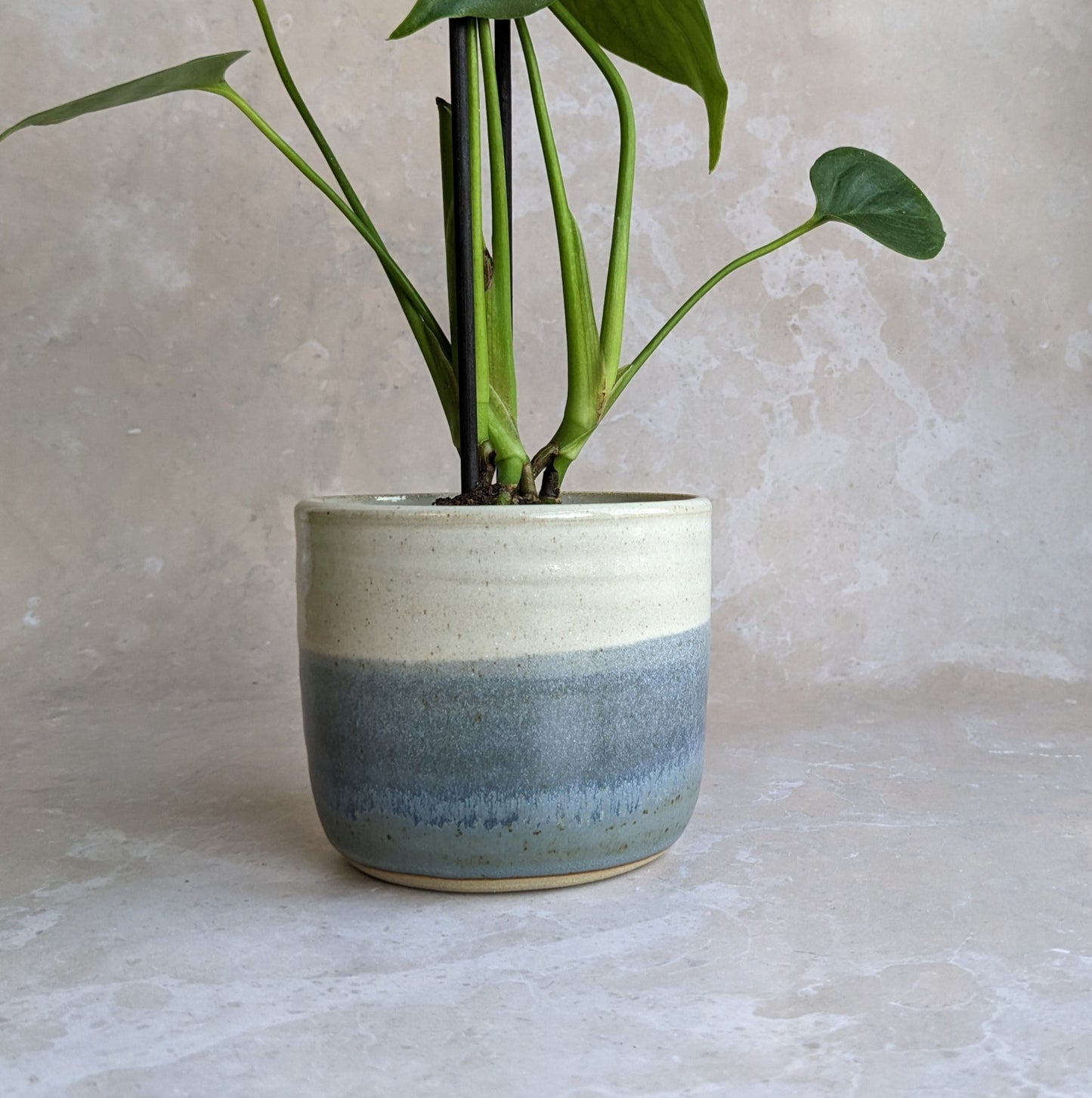 COAST plant pot