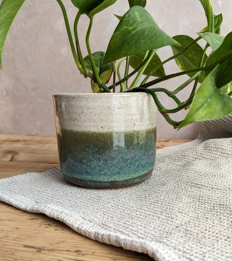 ROCKPOOLS small plant pot