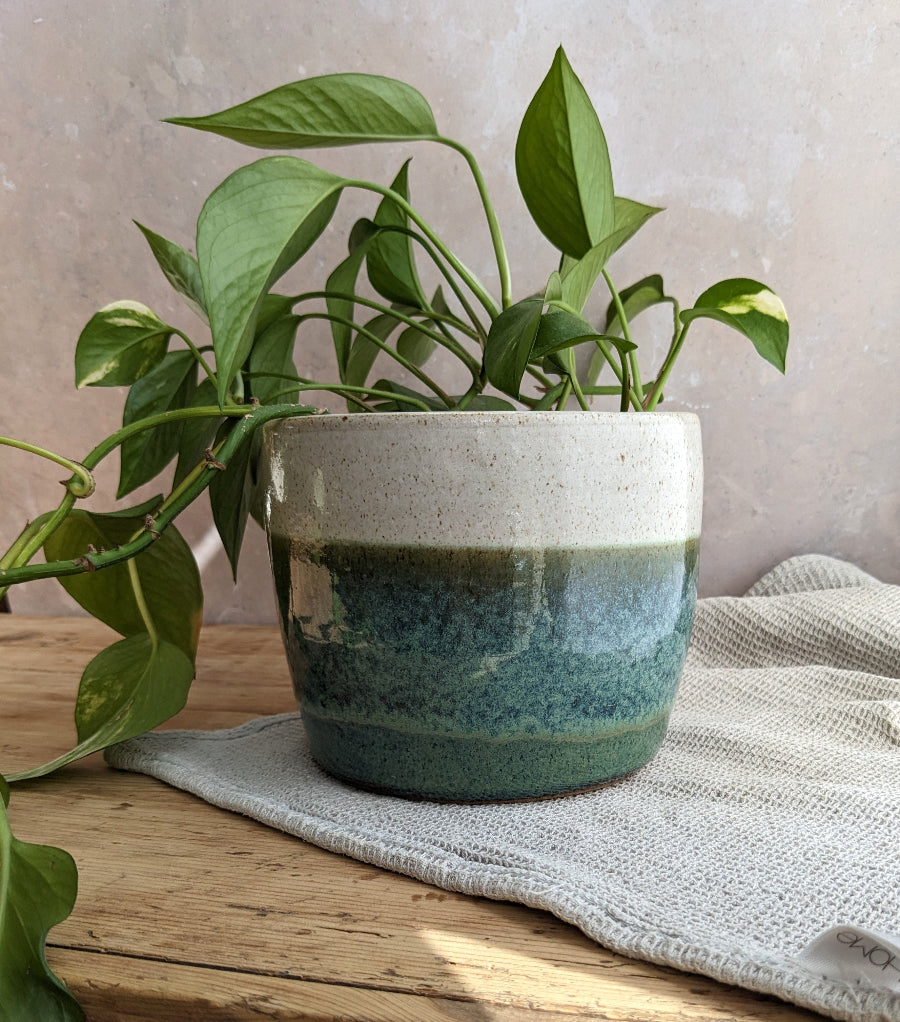 ROCKPOOLS large plant pot