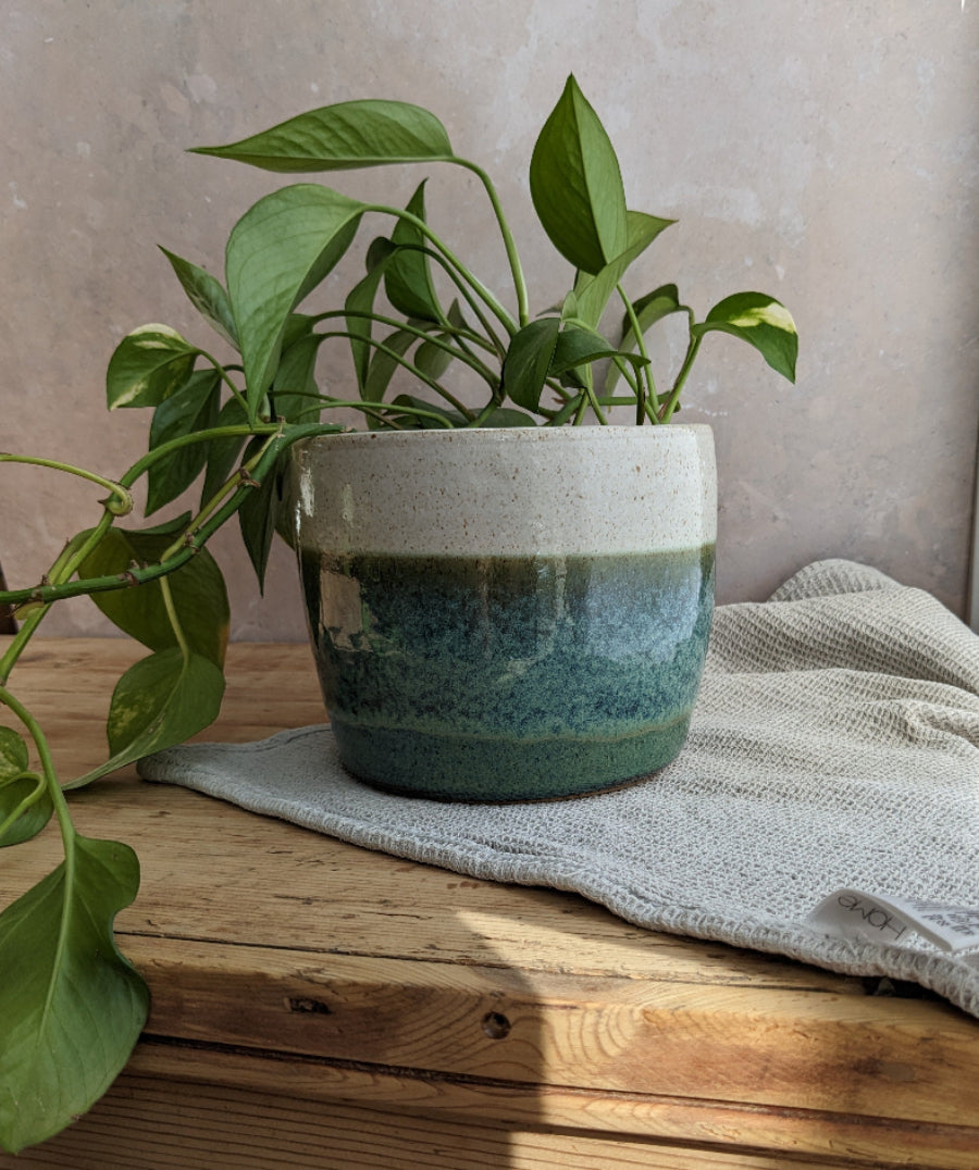 ROCKPOOLS large plant pot