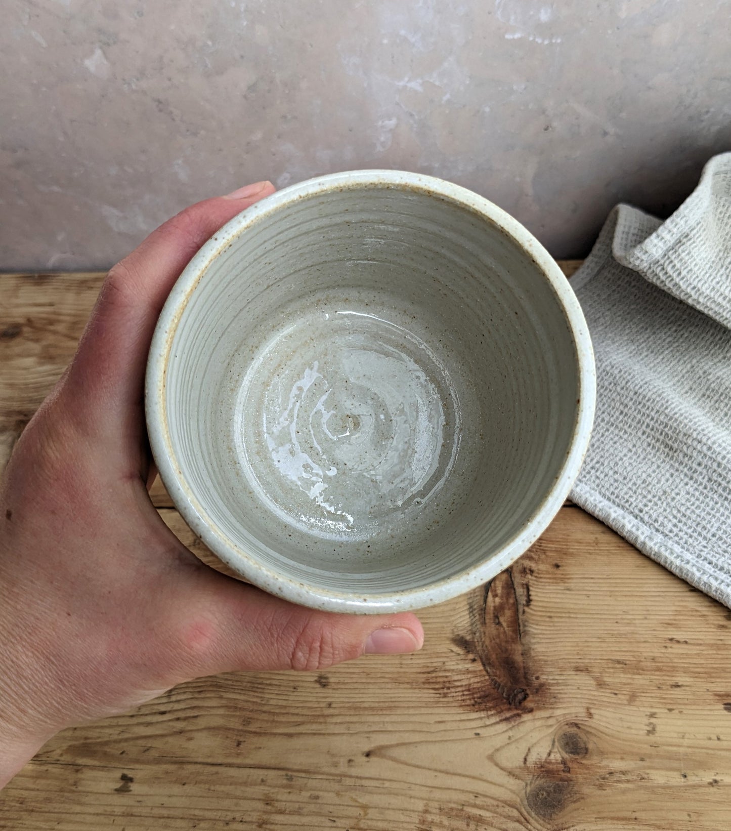 CLEARANCE Coast small plant pots